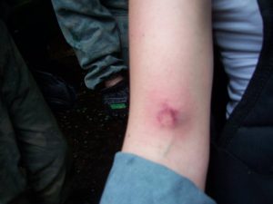 Koch Media Tank Limo & Paintballing