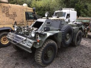 Ferret MSK668