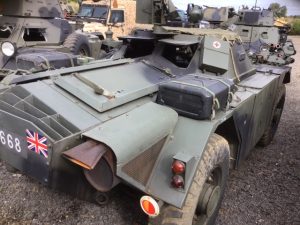 Ferret MSK668