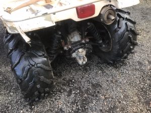 Yamaha Grizzly 450 Quad