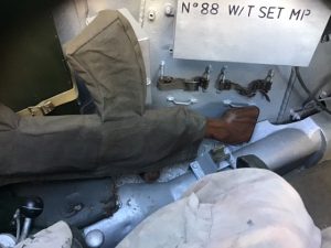 Ferret First off Production