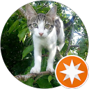 rudey valentino profile picture